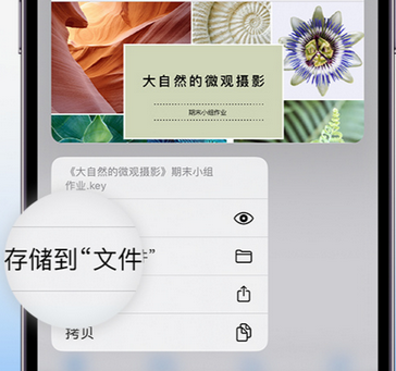 洪泽apple维修中心分享iPhone文件应用中存储和找到下载文件