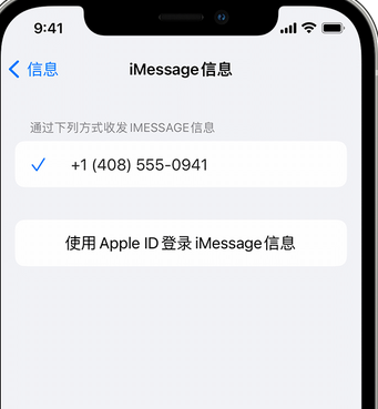 洪泽apple维修iPhone上无法正常发送iMessage信息