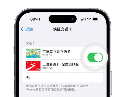 洪泽apple维修点分享iPhone上更换Apple Pay快捷交通卡手绘卡面 