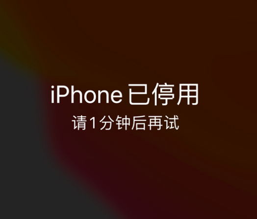 洪泽苹果手机维修分享:iPhone 显示“不可用”或“已停用”怎么办？还能保留数据吗？ 