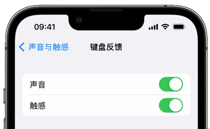 洪泽苹果手机维修分享iPhone 14触感键盘使用方法 
