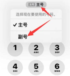 洪泽苹果14维修店分享iPhone 14 Pro Max使用副卡打电话的方法 