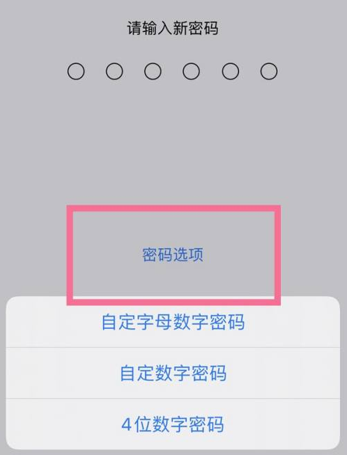 洪泽苹果14维修分享iPhone 14plus设置密码的方法 