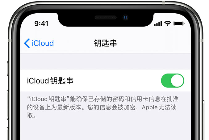 洪泽苹果手机维修分享在 iPhone 上开启 iCloud 钥匙串之后会储存哪些信息 