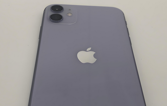 洪泽苹果11系统维修分享iPhone11手机系统崩溃无法开机如何解决 